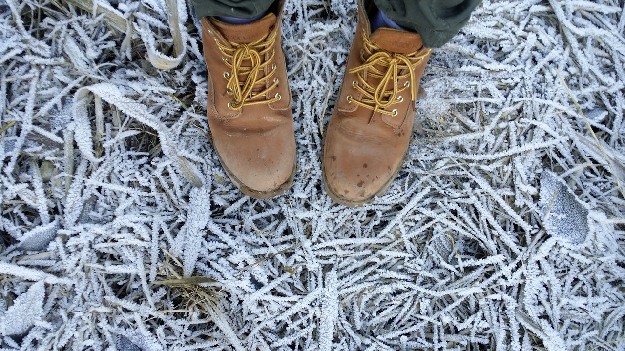 Bird's Eye View of Shoes